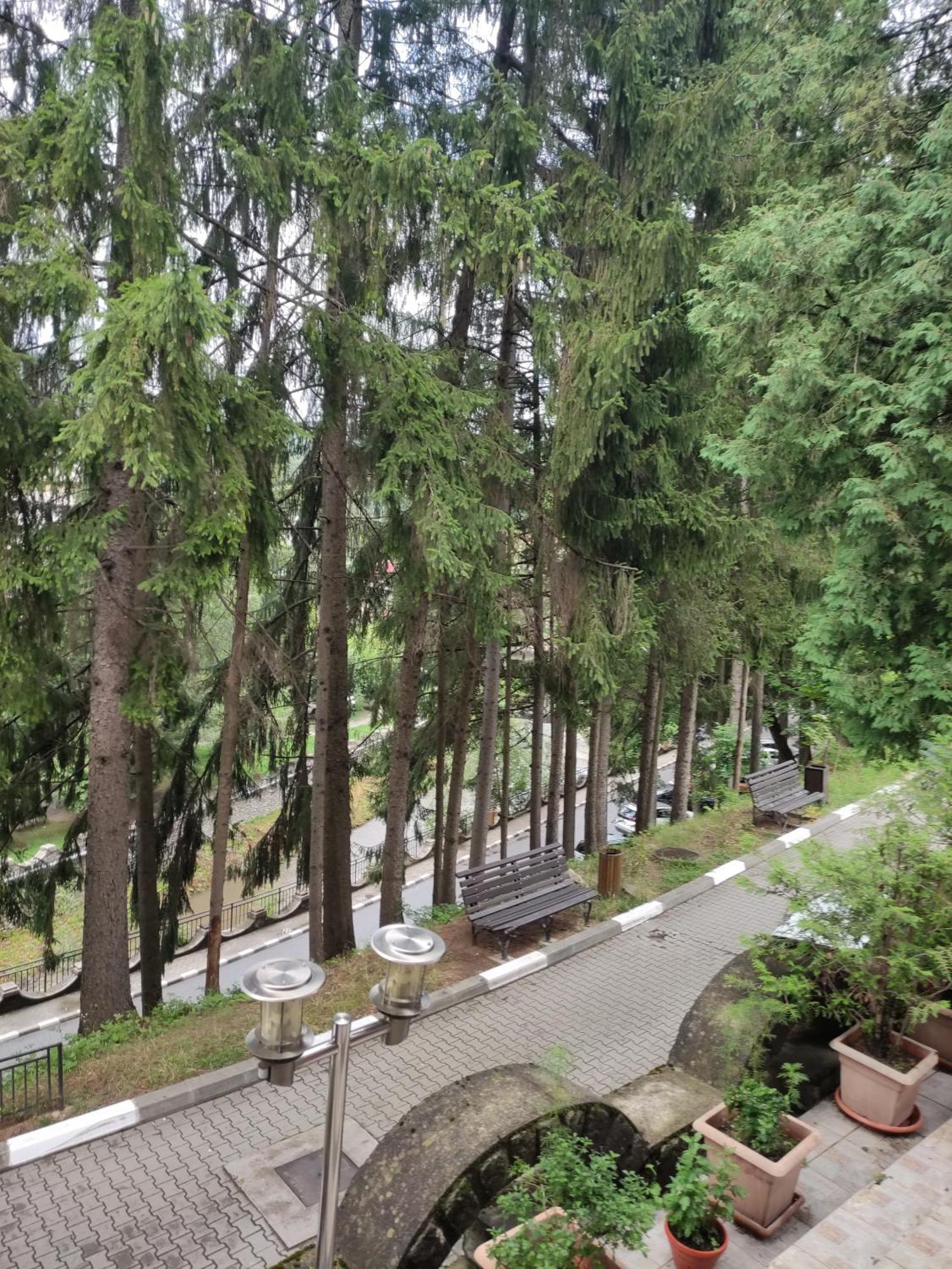 Villa Casa Rosa Băile Olăneşti Exterior foto